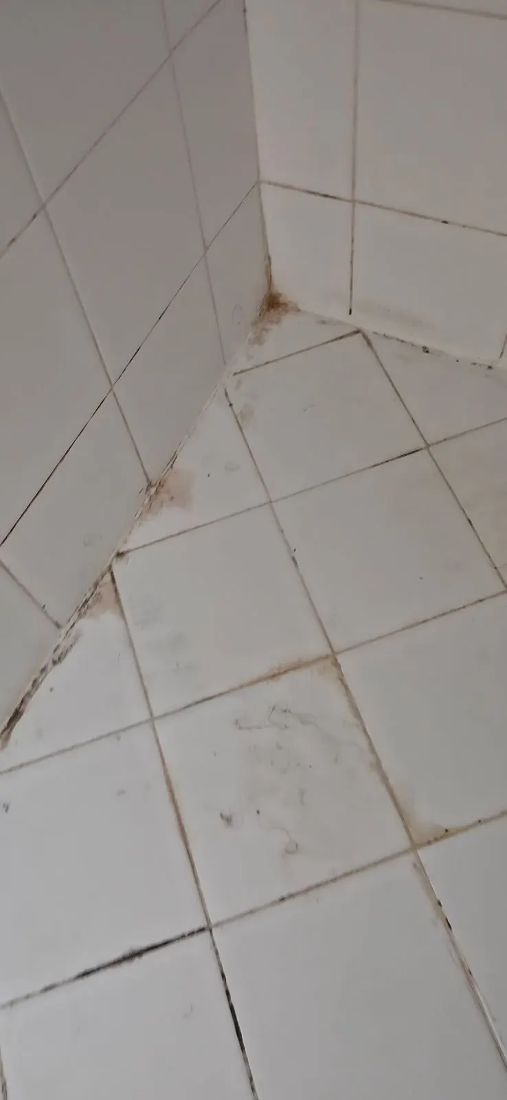 Before — House Cleaning in Sacramento, CA — September 2026