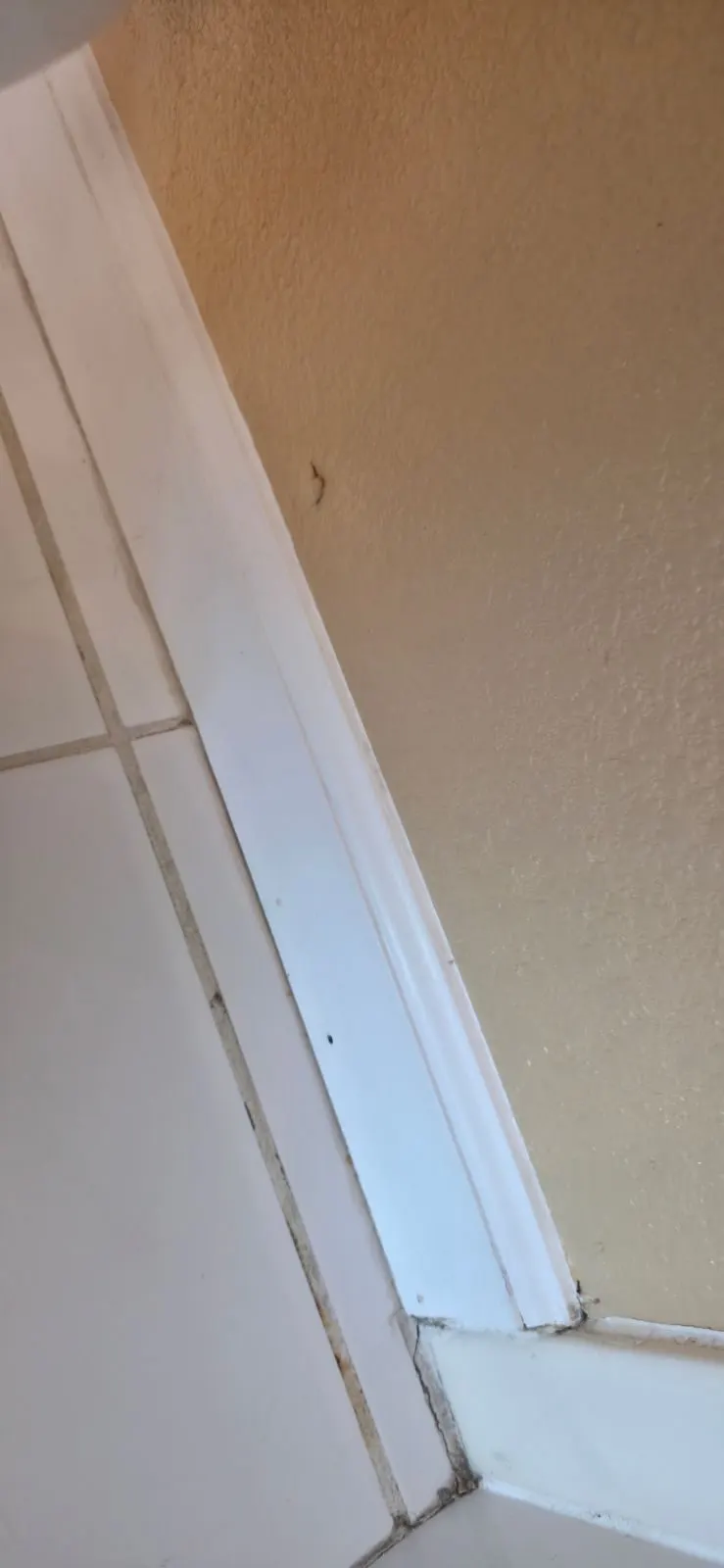 After — House Cleaning in Sacramento, CA — September 2026