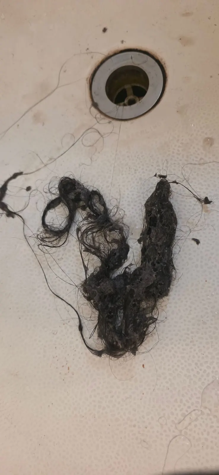 Before — House Cleaning in Sacramento, CA — September 2026