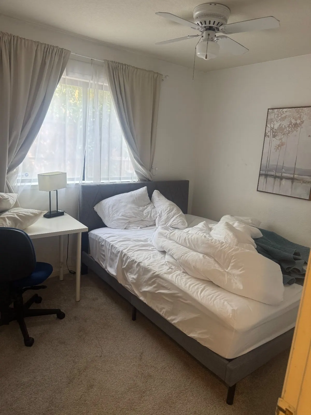Before — House Cleaning in Folsom, CA — September 2026
