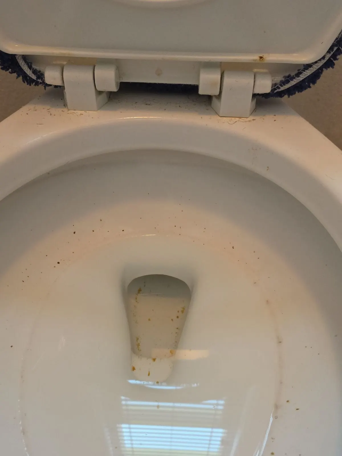 Before — House Cleaning in West Sacramento, CA — July 2026