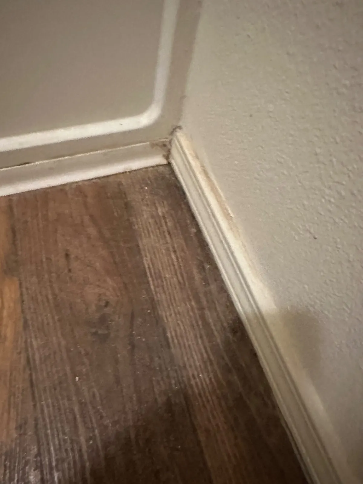 Before — House Cleaning in Davis, CA — September 2026