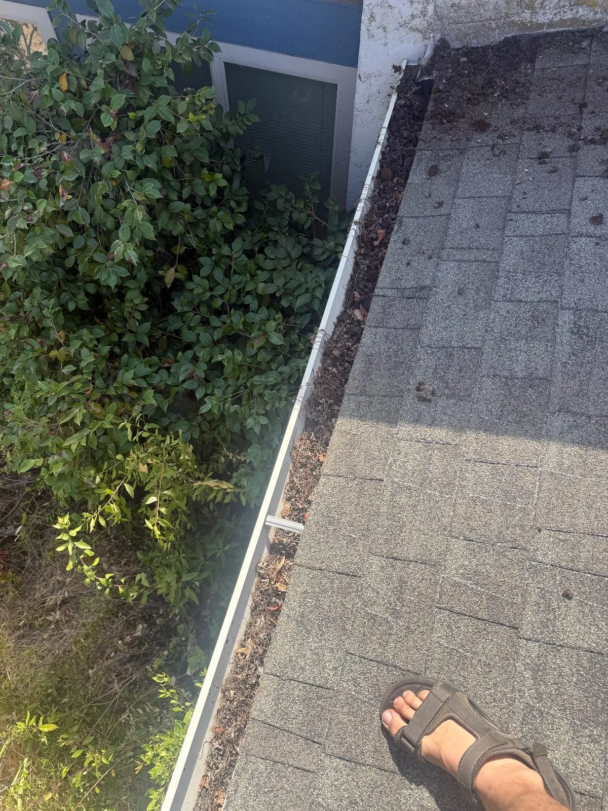 Before — Gutter Cleaning and Maintenance in Citrus Heights, CA — September 2026