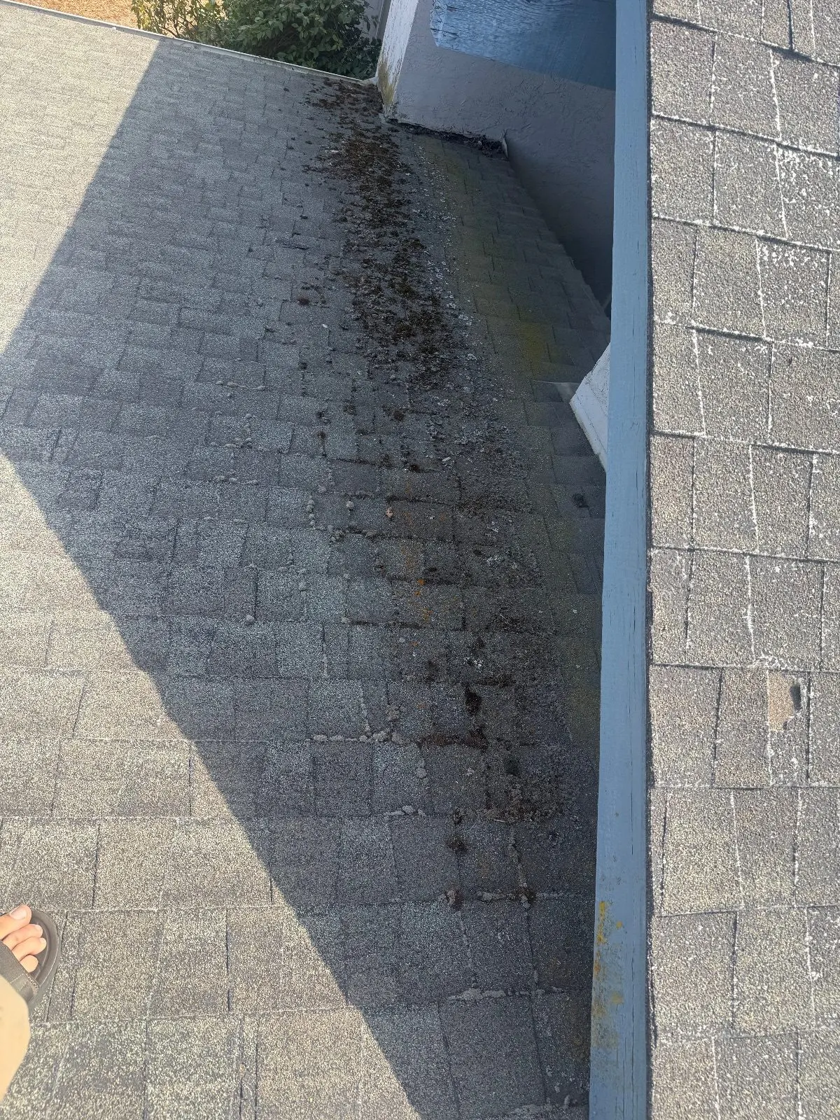 Before — Gutter Cleaning and Maintenance in Citrus Heights, CA — September 2026