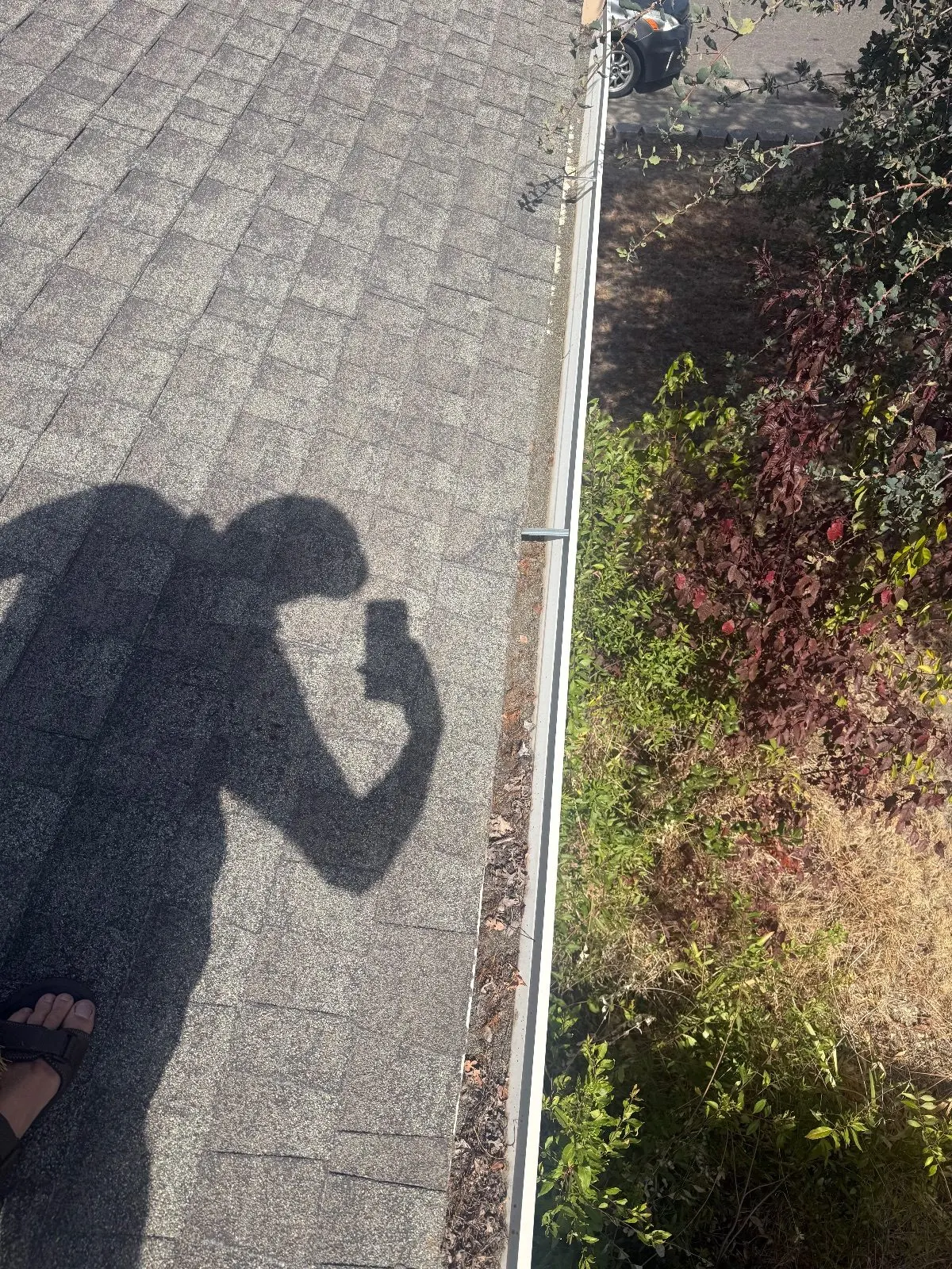 Before — Gutter Cleaning and Maintenance in Citrus Heights, CA — September 2026