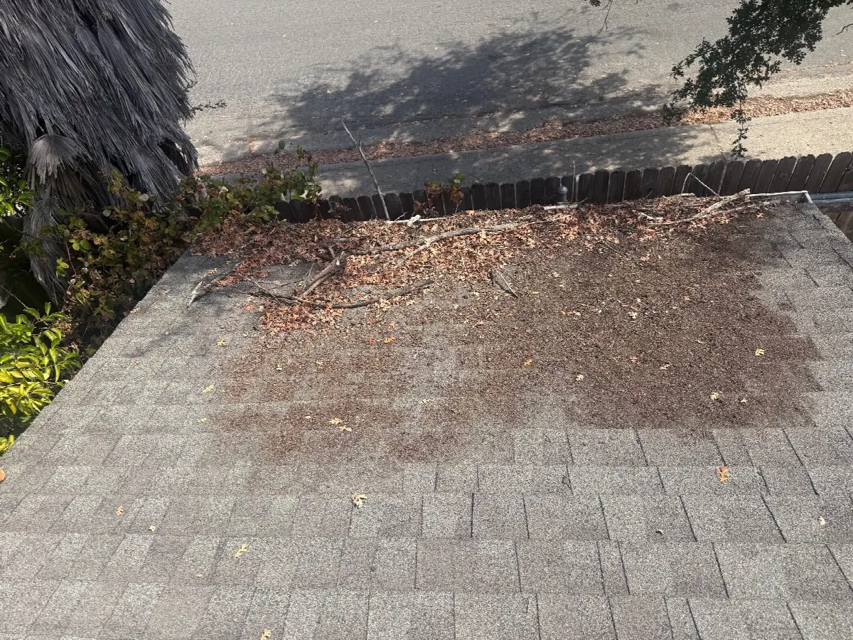 Before — Gutter Cleaning and Maintenance in Citrus Heights, CA — September 2026