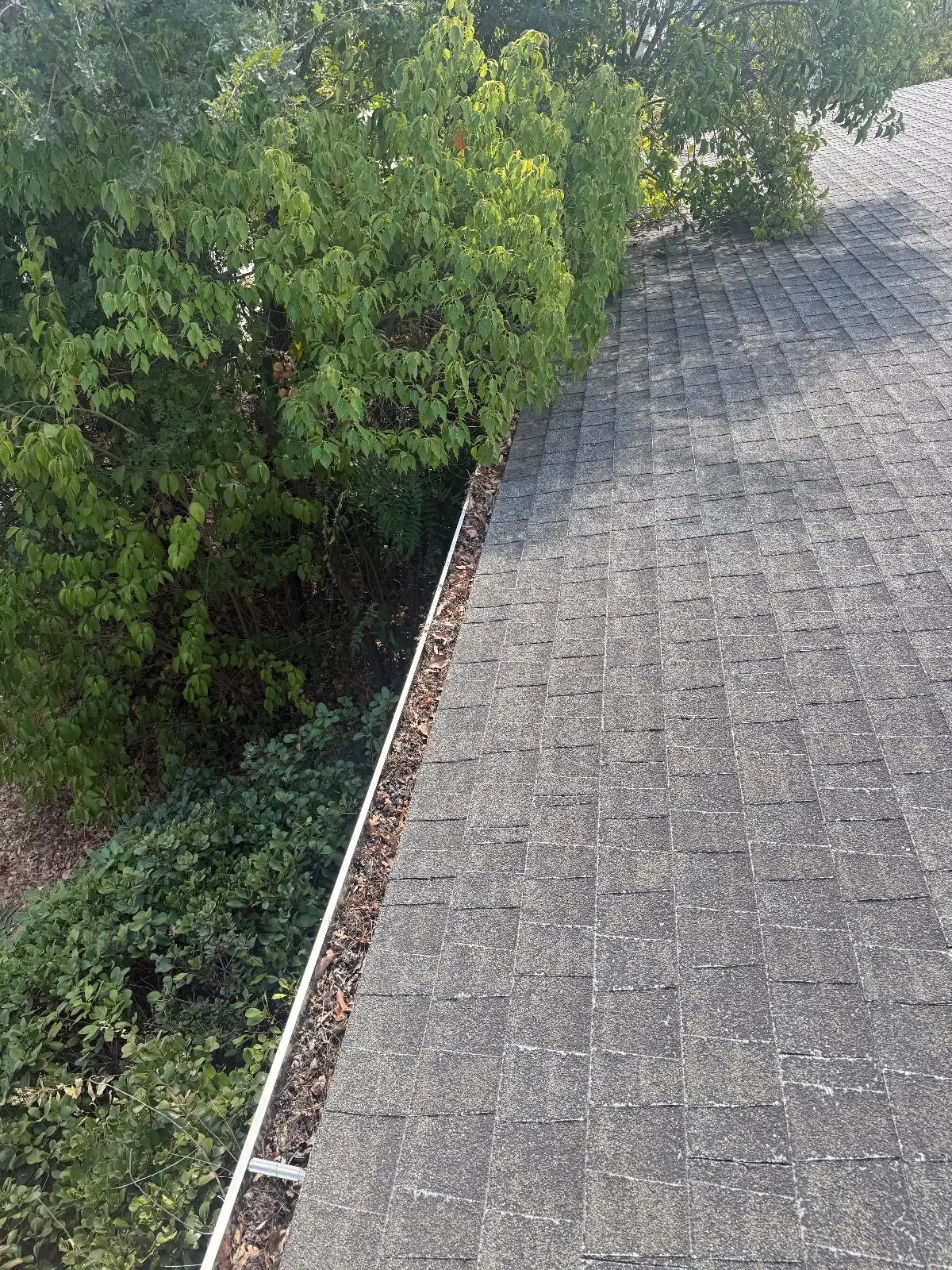 Before — Gutter Cleaning and Maintenance in Citrus Heights, CA — September 2026