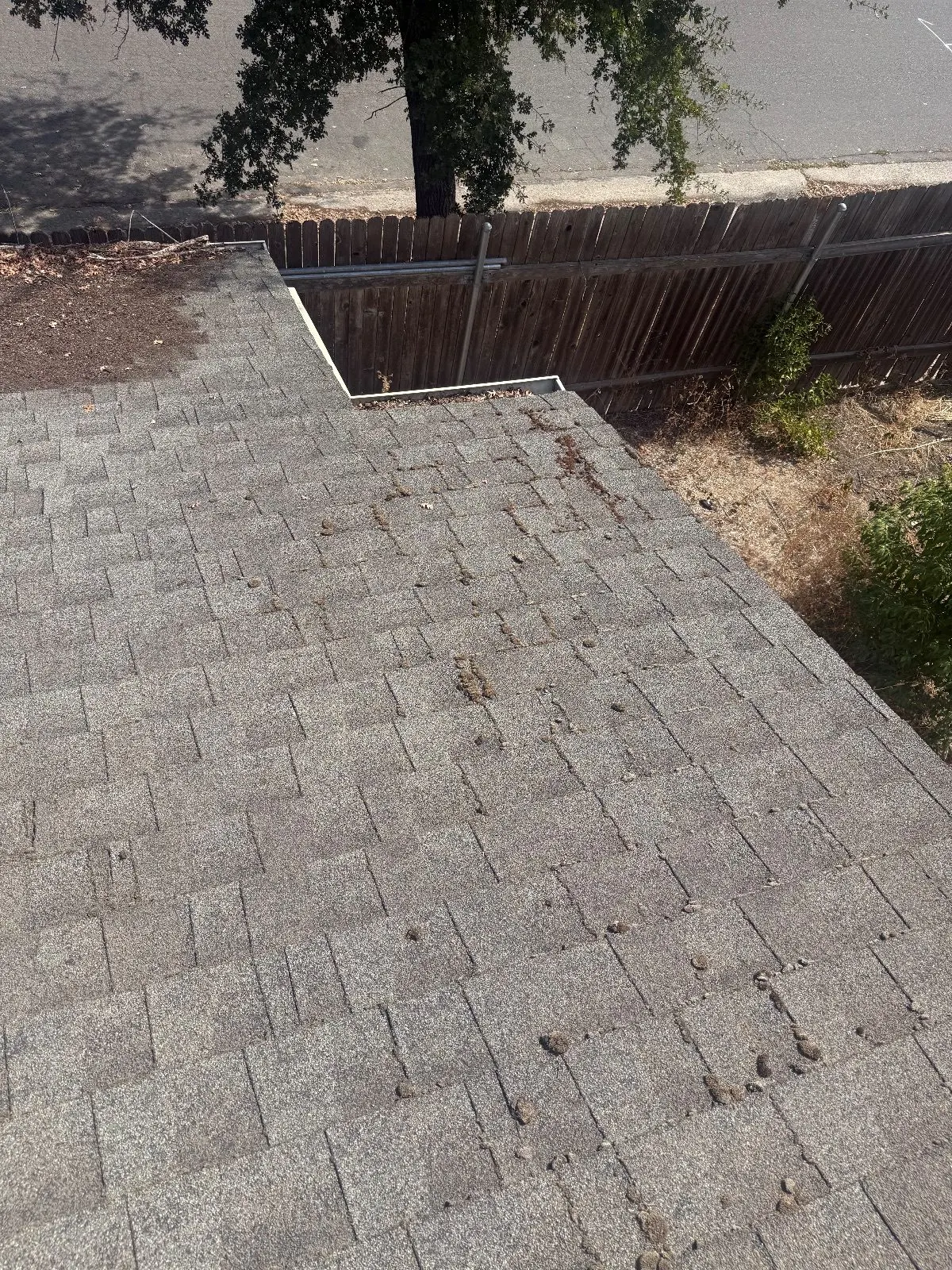 Before — Gutter Cleaning and Maintenance in Citrus Heights, CA — September 2026