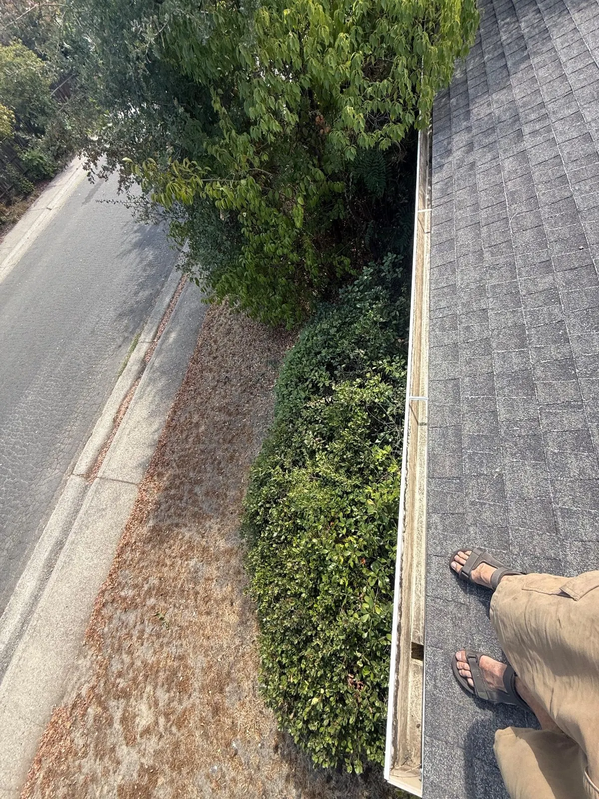 After — Gutter Cleaning and Maintenance in Citrus Heights, CA — September 2026