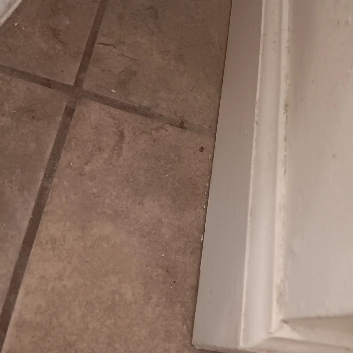 Before — House Cleaning in Sacramento, CA — September 2026
