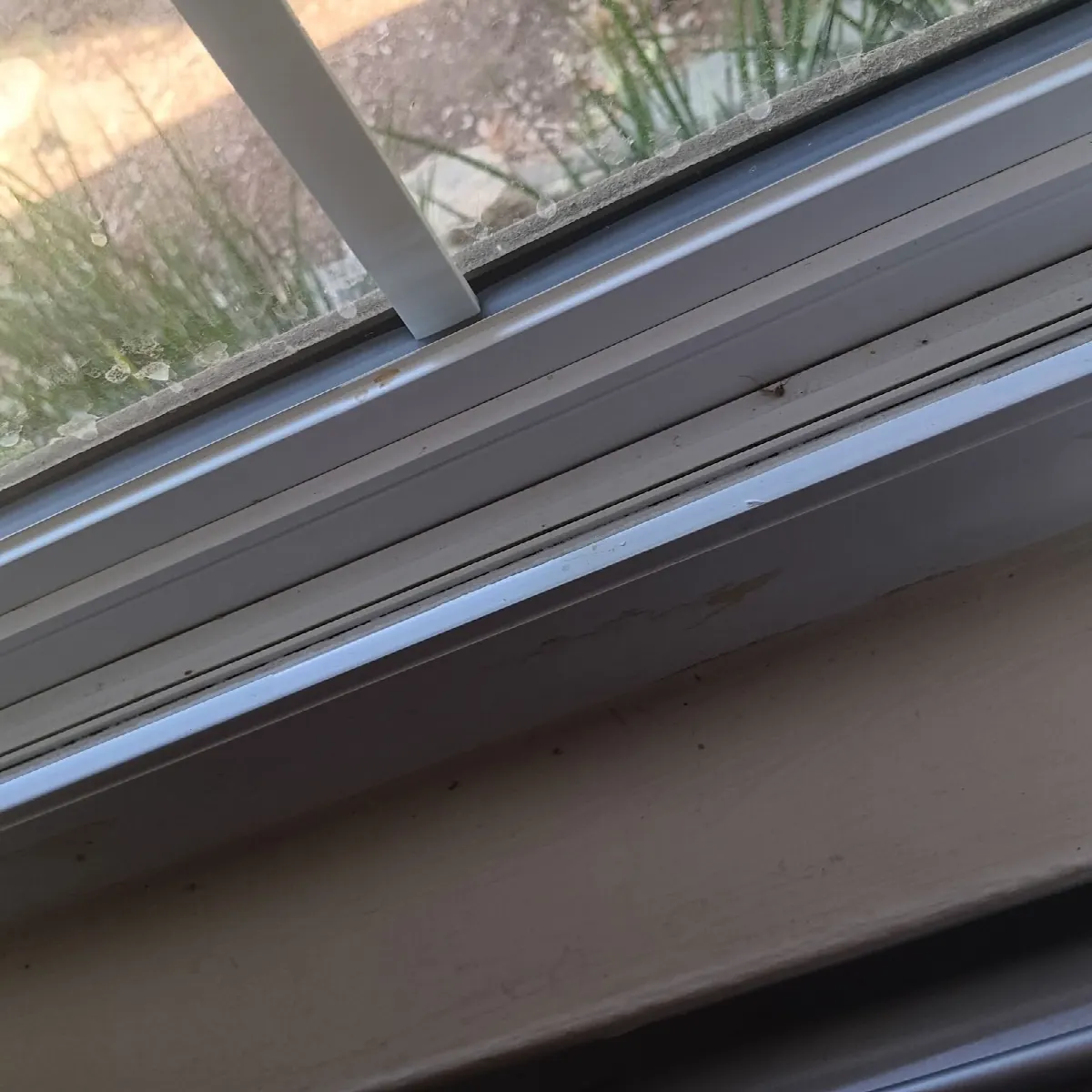 Before — House Cleaning in Sacramento, CA — September 2026