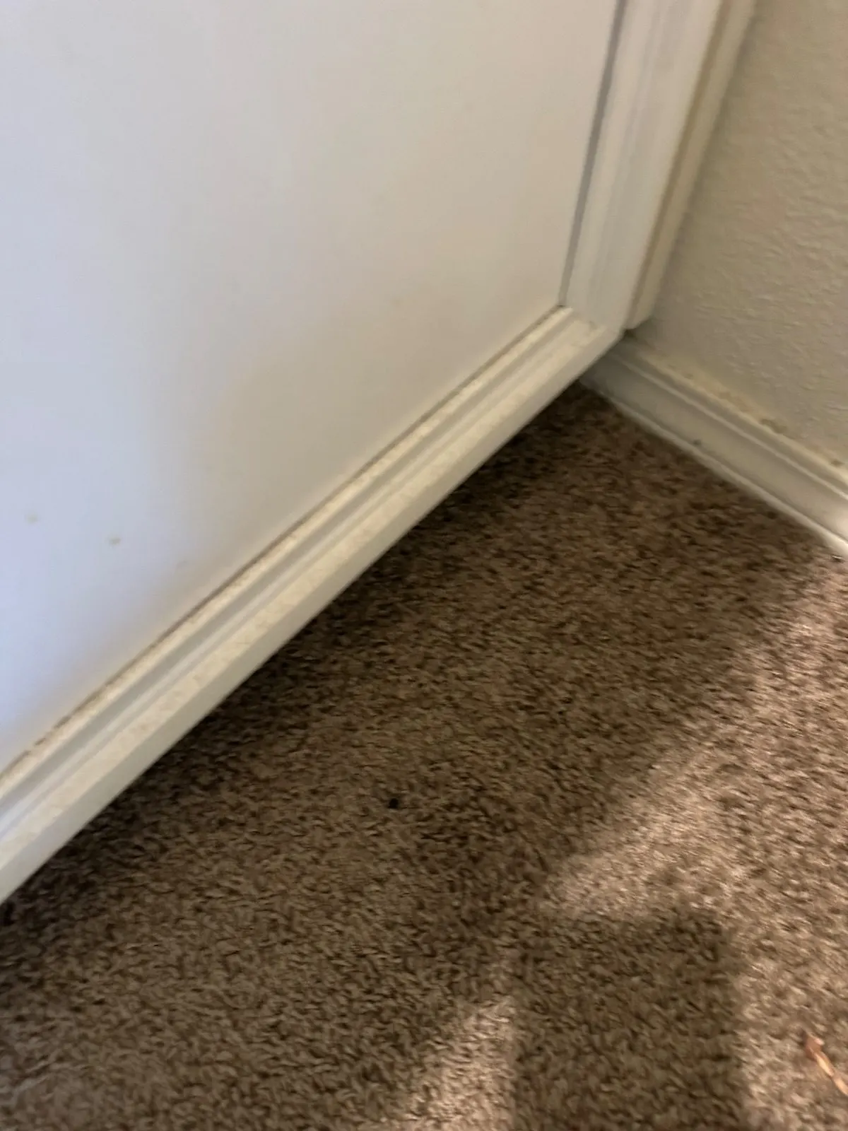 Before — House Cleaning in Davis, CA — September 2026