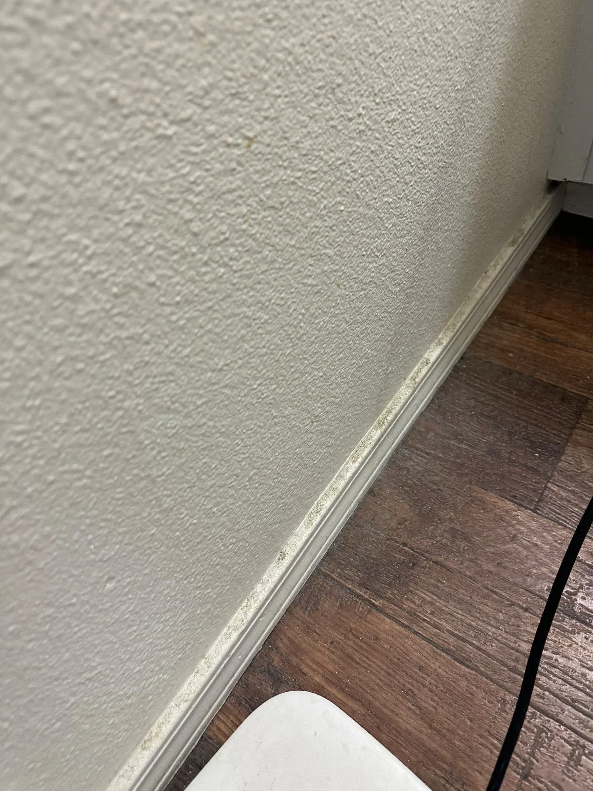 Before — House Cleaning in Davis, CA — September 2026