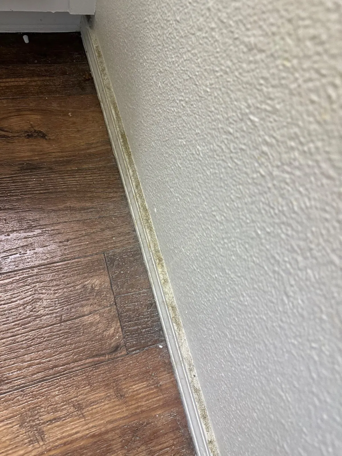 Before — House Cleaning in Davis, CA — September 2026