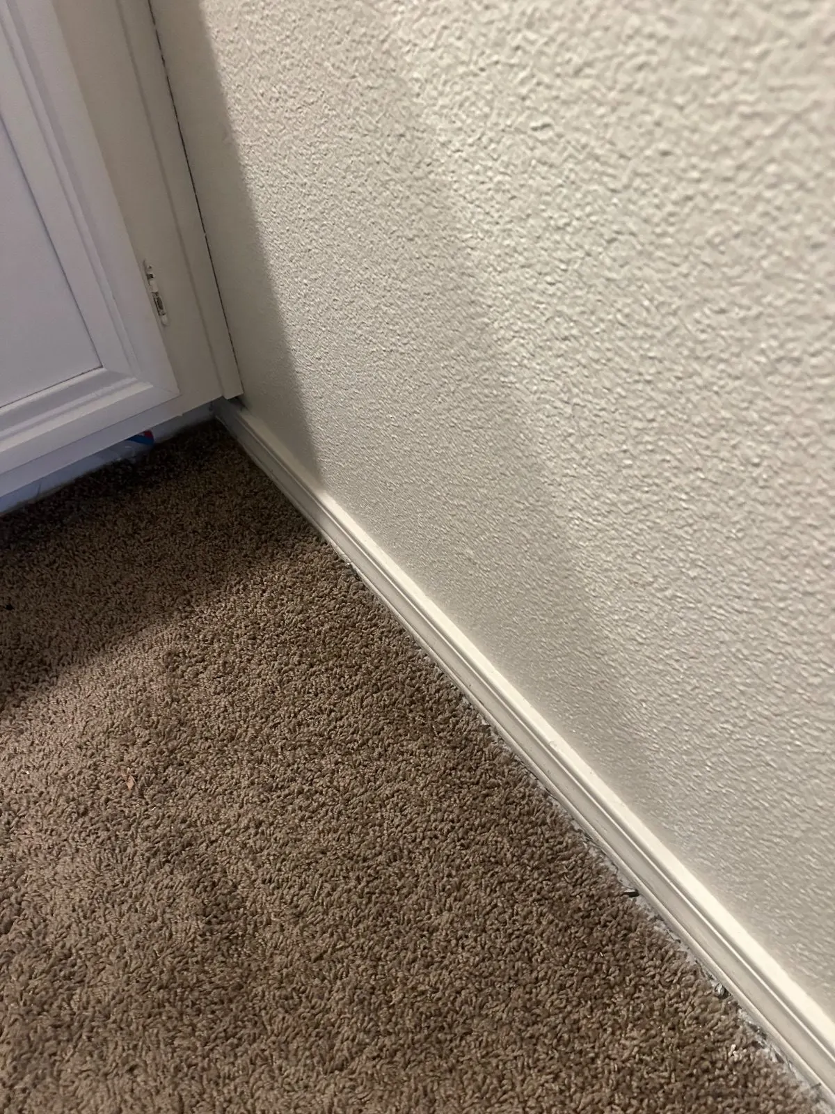 After — House Cleaning in Davis, CA — September 2026