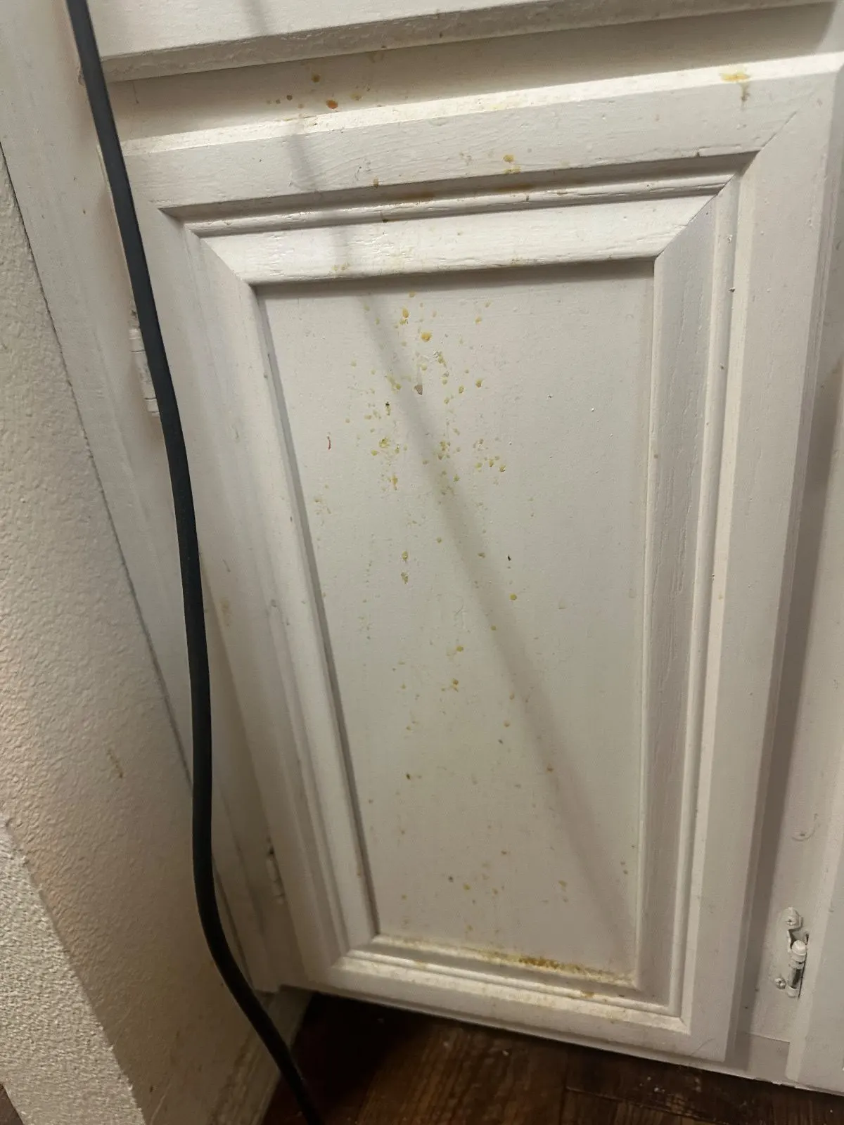 Before — House Cleaning in Davis, CA — September 2026