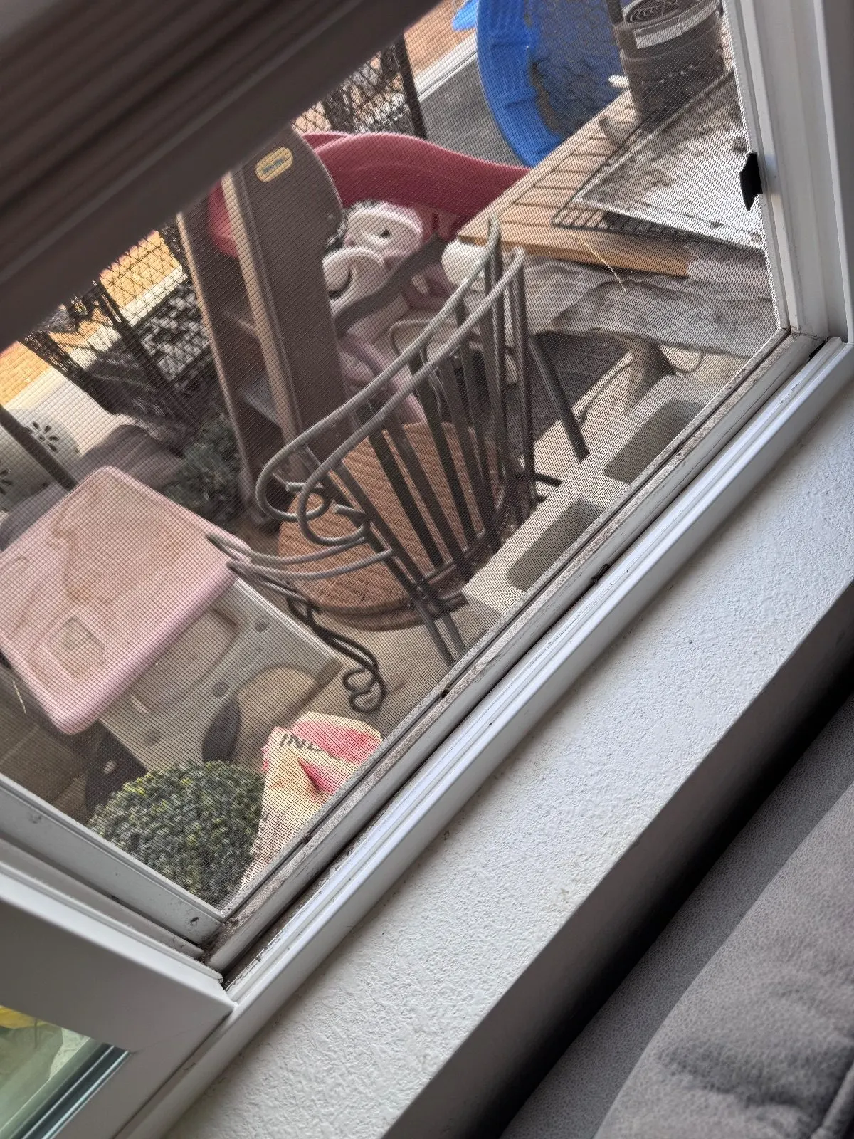 Before — House Cleaning in Antelope, CA — September 2026