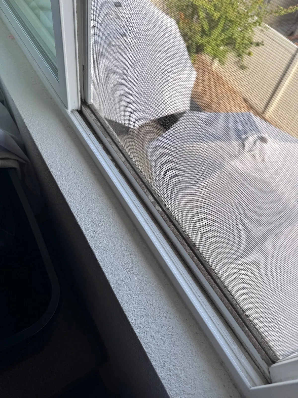 Before — House Cleaning in Antelope, CA — September 2026