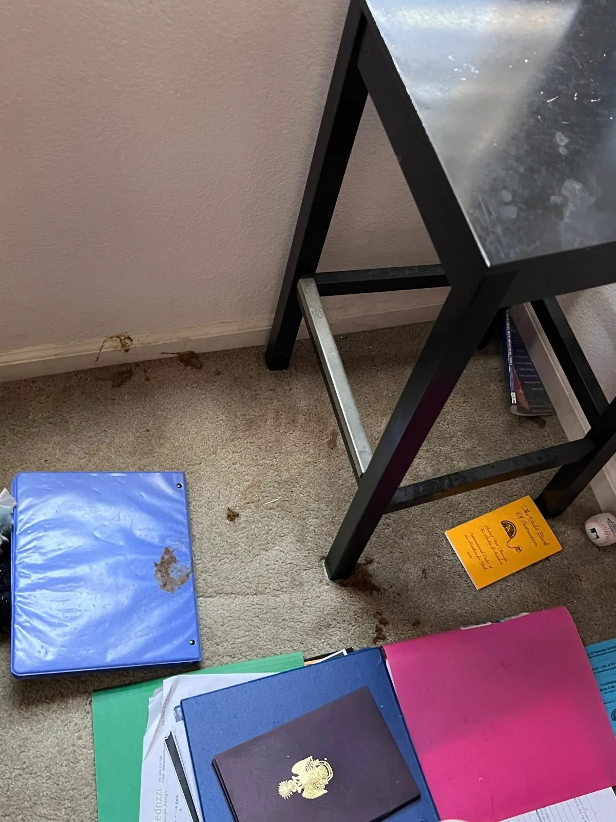 Before — House Cleaning in West Sacramento, CA — September 2026