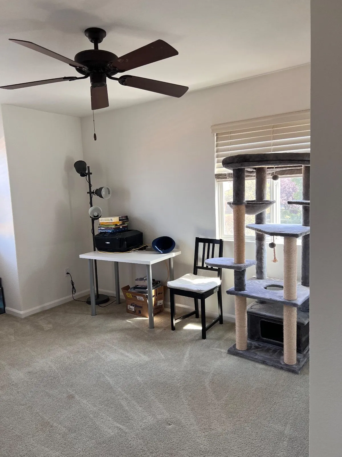 After — House Cleaning in West Sacramento, CA — September 2026