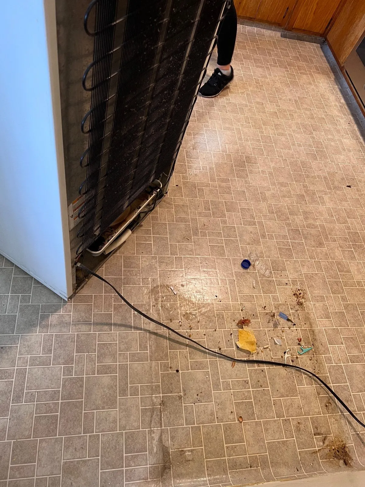 Before — House Cleaning in Sacramento, CA — September 2026