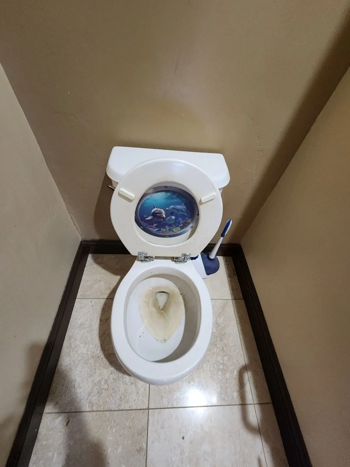 Before — House Cleaning in Roseville, CA — September 2026