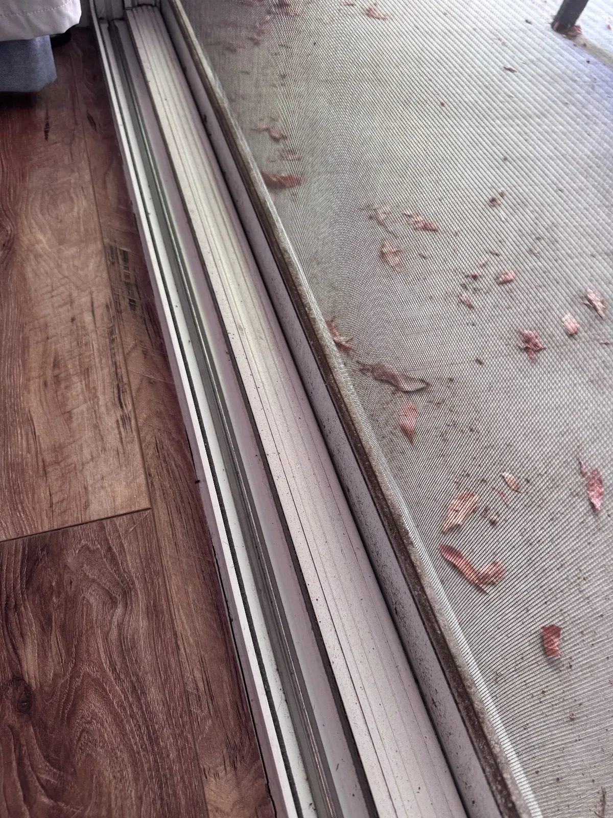 Before — House Cleaning in Orangevale, CA — September 2026