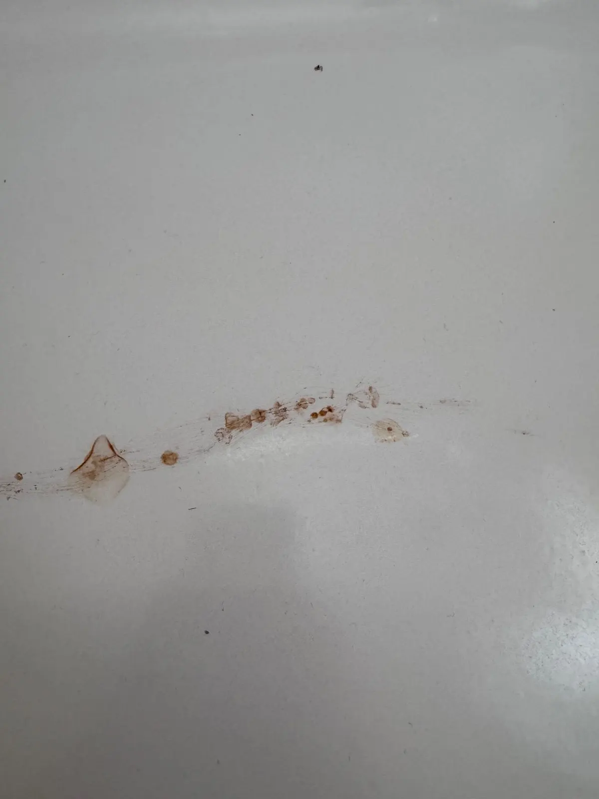 Before — House Cleaning in Orangevale, CA — September 2026