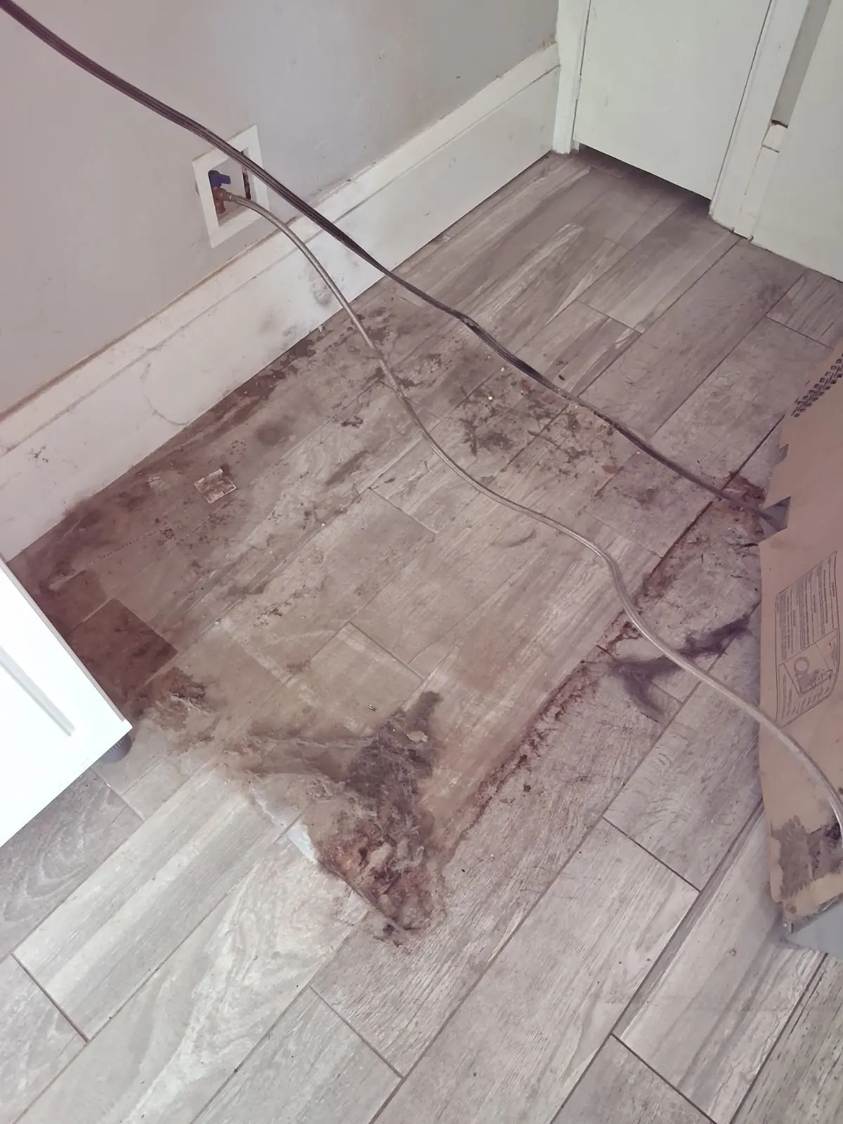 Before — House Cleaning in Sacramento, CA — September 2026