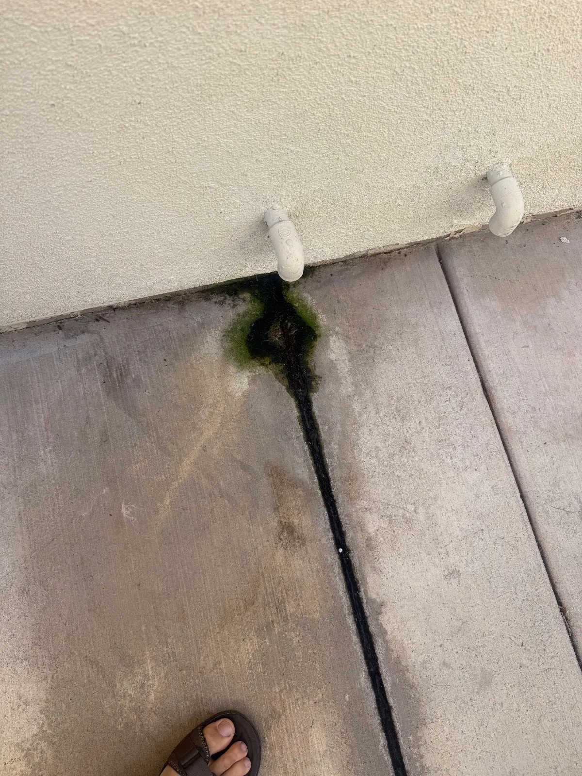 Before — Pressure Washing in Roseville, CA — September 2026