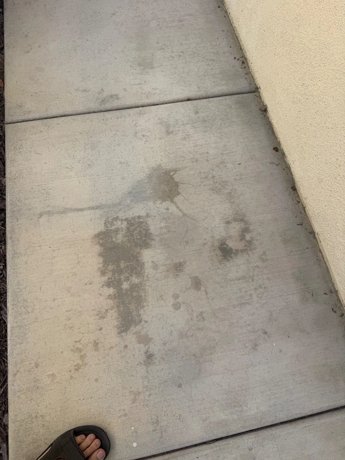 Before — Pressure Washing in Roseville, CA — September 2026