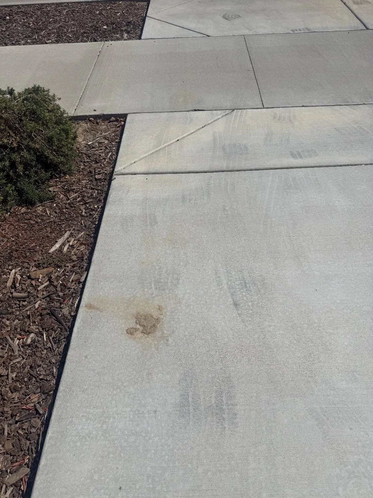 Before — Pressure Washing in Roseville, CA — September 2026