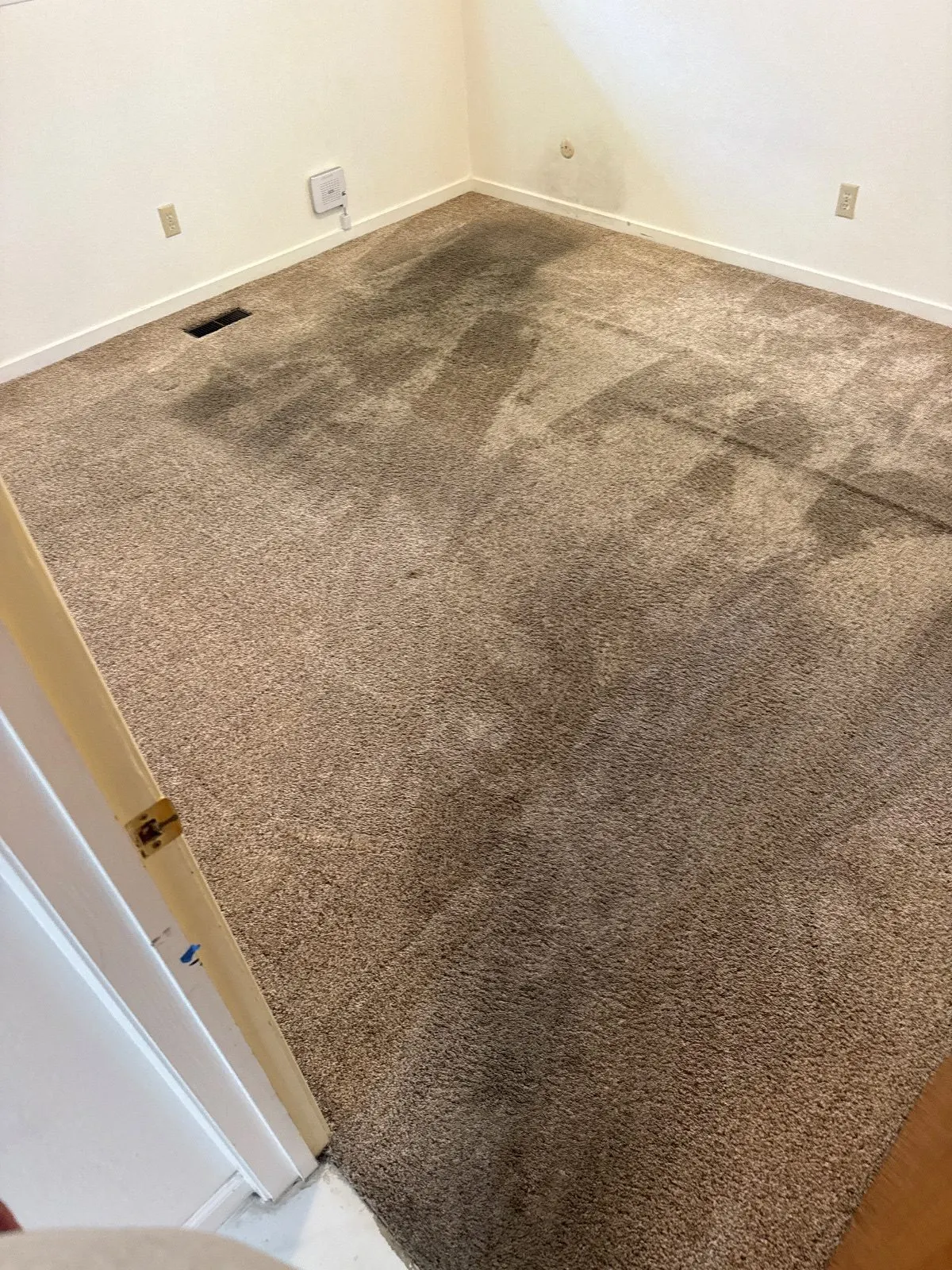 Before — Carpet Cleaning in Carmichael, CA — September 2026