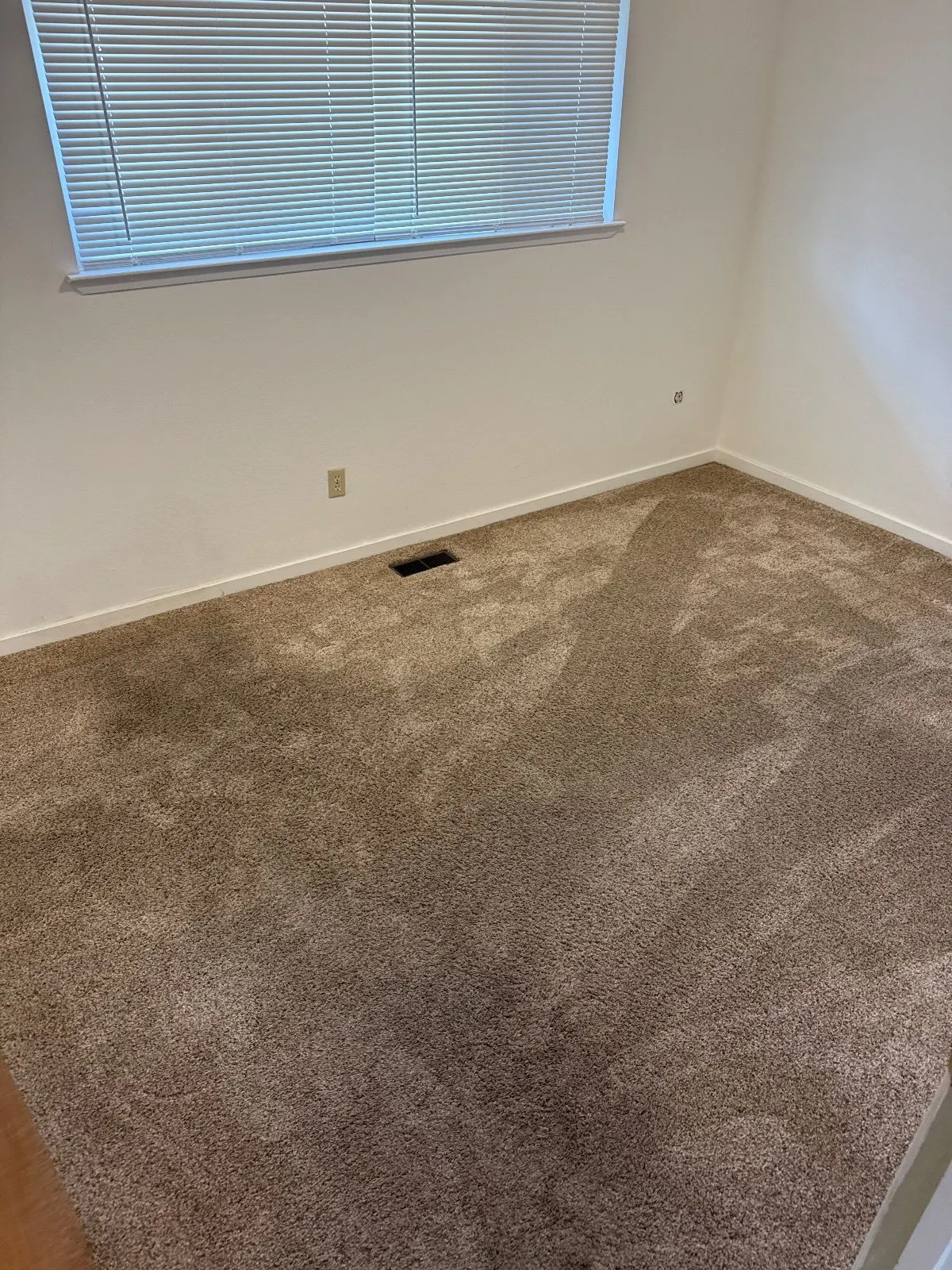 After — Carpet Cleaning in Carmichael, CA — September 2026