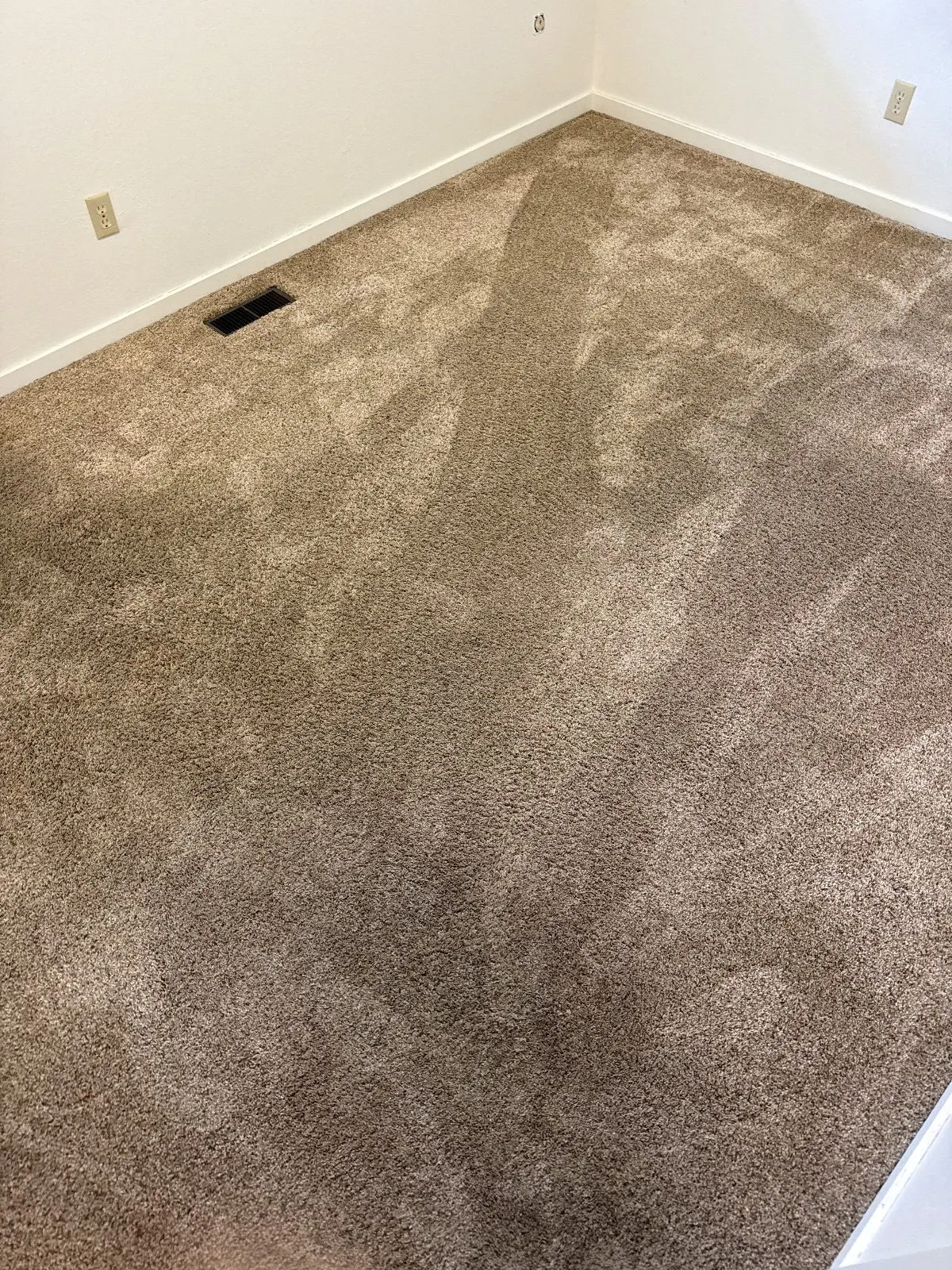 Before — Carpet Cleaning in Carmichael, CA — September 2026