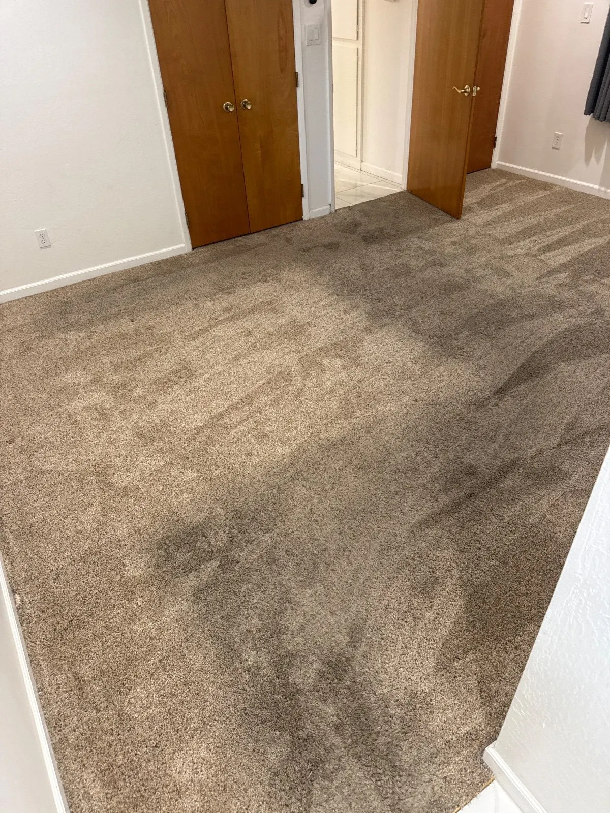 Before — Carpet Cleaning in Carmichael, CA — September 2026