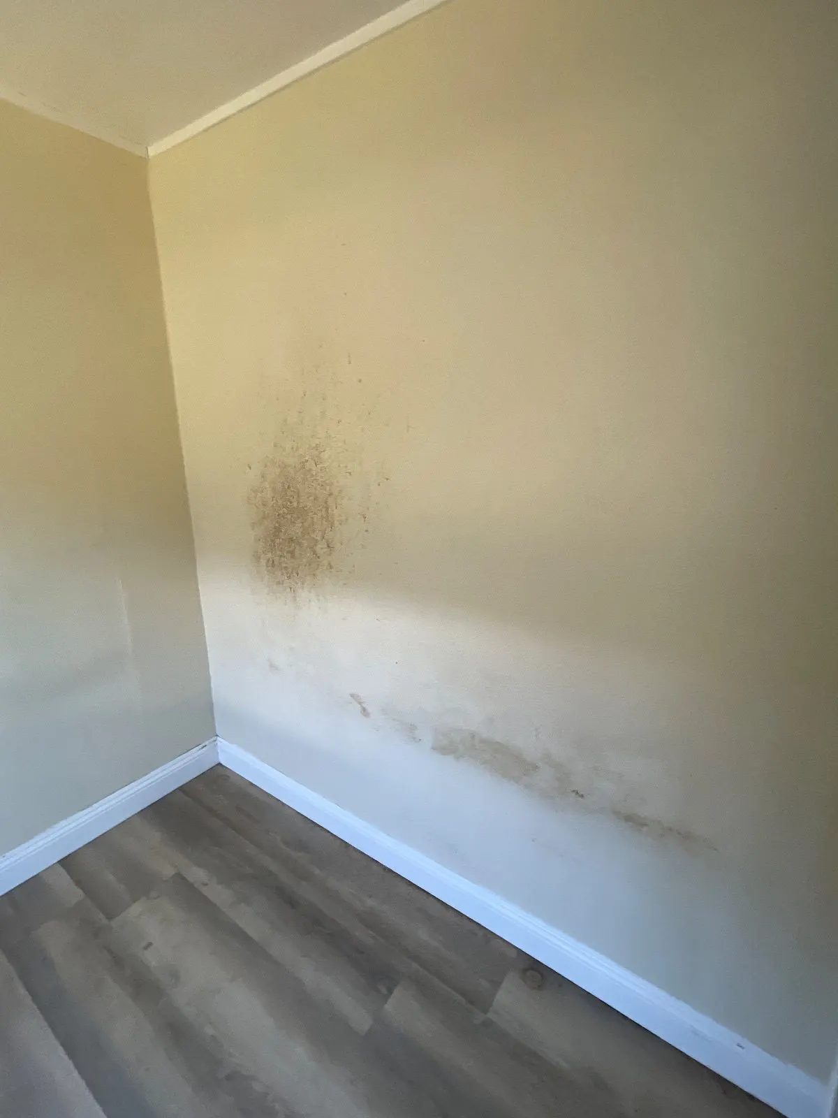 Before — House Cleaning in West Sacramento, CA — September 2026