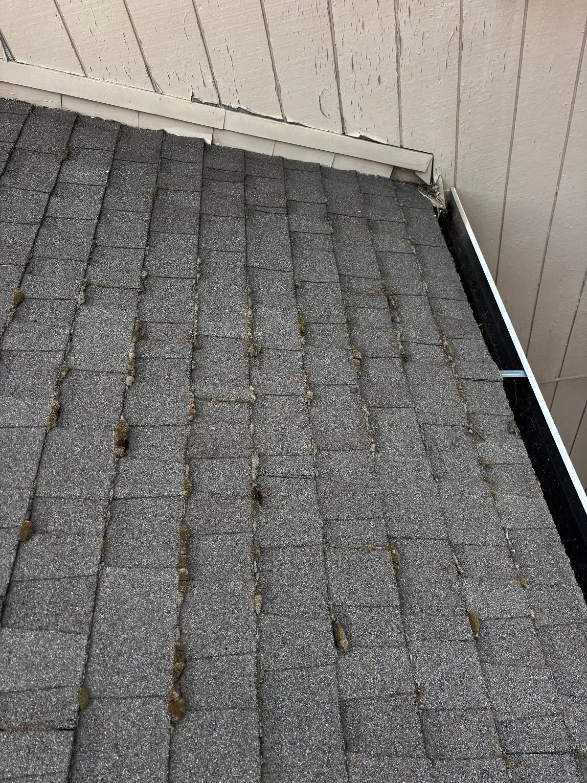 Before — Roof Cleaning in Antelope, CA — September 2026