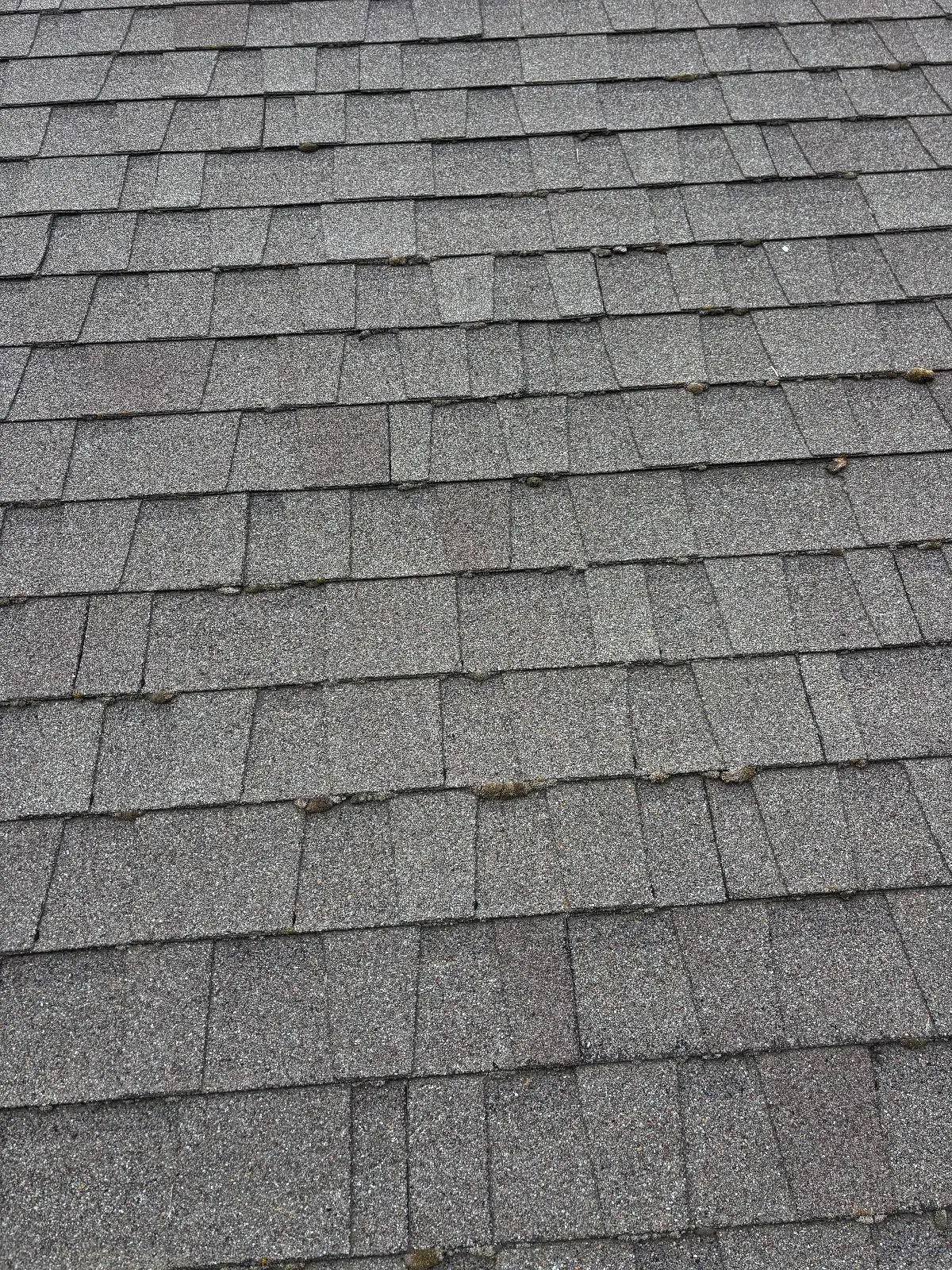 Before — Roof Cleaning in Antelope, CA — September 2026
