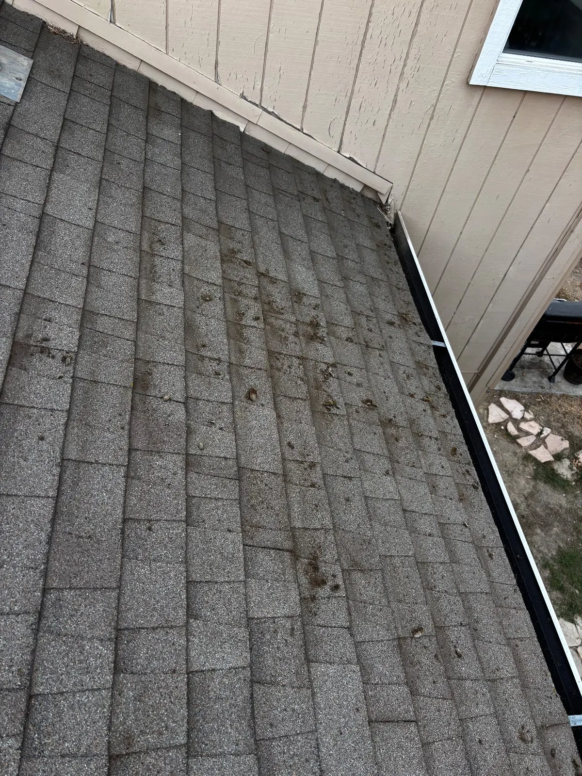 Before — Roof Cleaning in Antelope, CA — September 2026