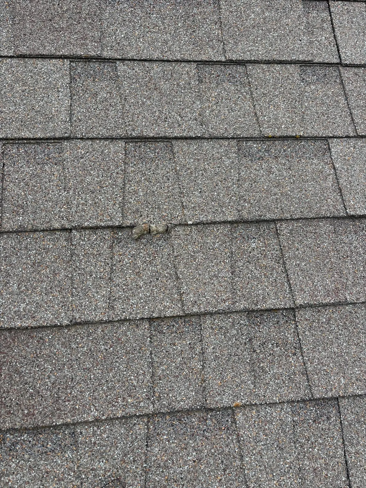 Before — Roof Cleaning in Antelope, CA — September 2026