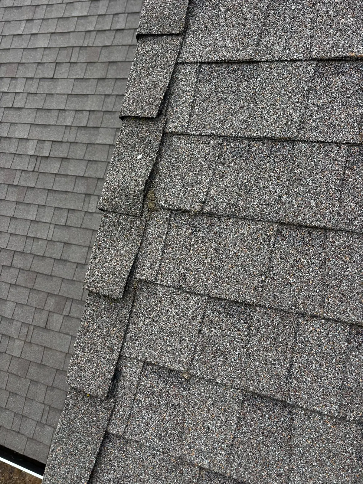 Before — Roof Cleaning in Antelope, CA — September 2026
