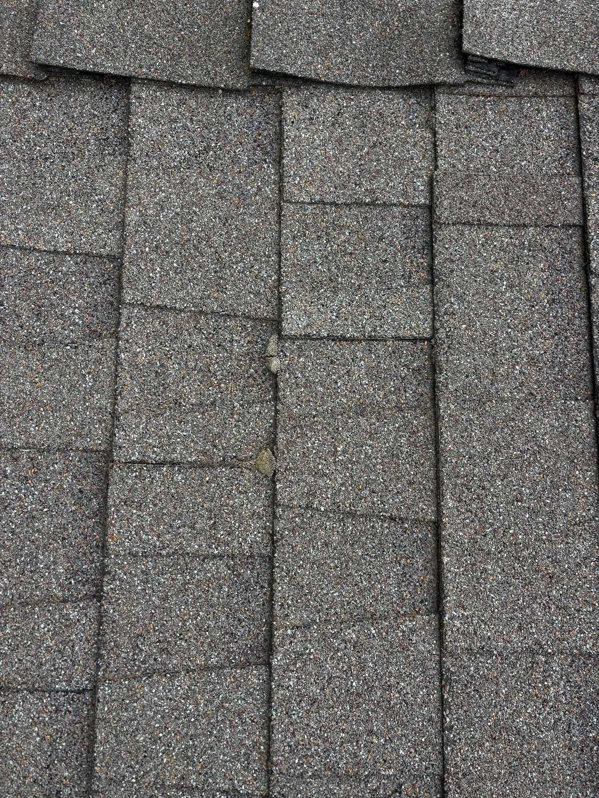Before — Roof Cleaning in Antelope, CA — September 2026