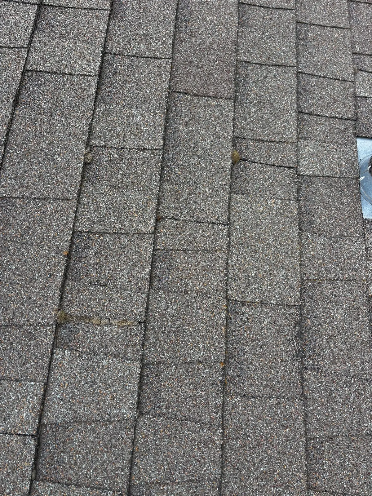 Before — Roof Cleaning in Antelope, CA — September 2026