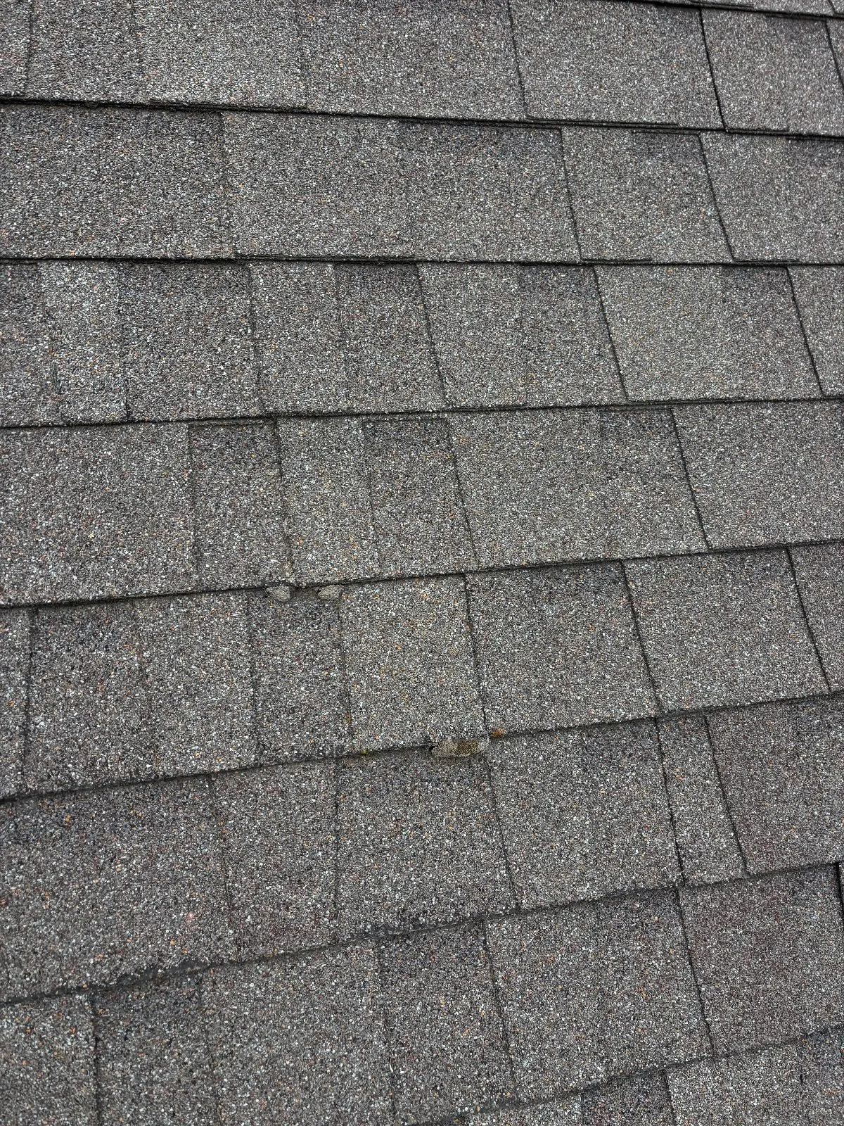 Before — Roof Cleaning in Antelope, CA — September 2026