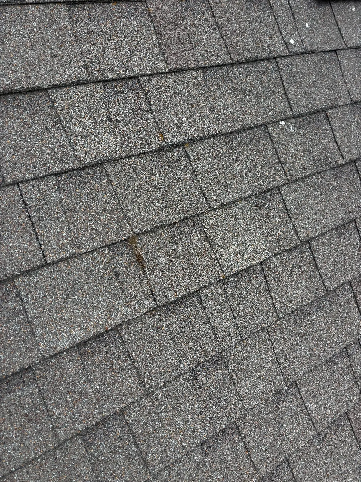 Before — Roof Cleaning in Antelope, CA — September 2026