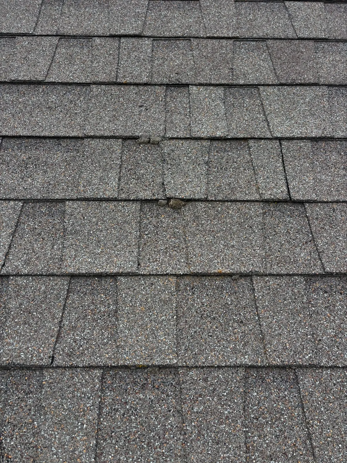 Before — Roof Cleaning in Antelope, CA — September 2026