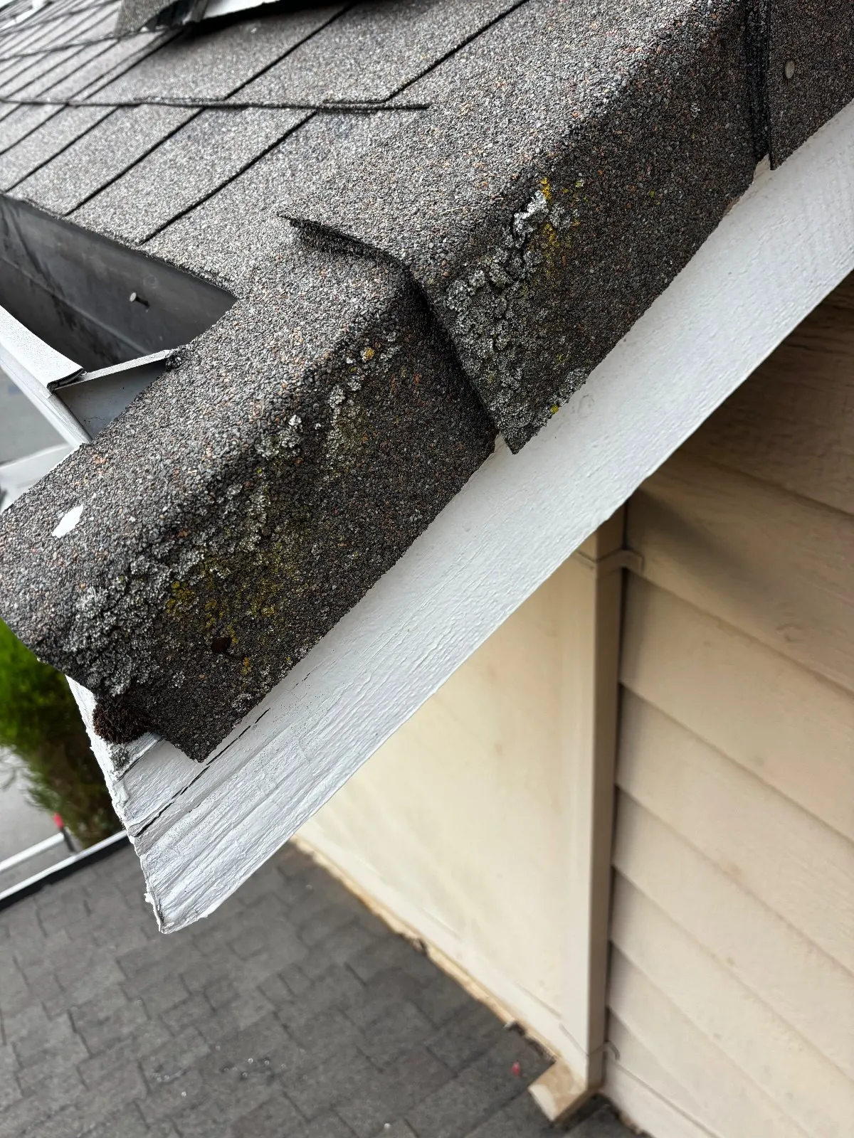 Before — Roof Cleaning in Antelope, CA — September 2026