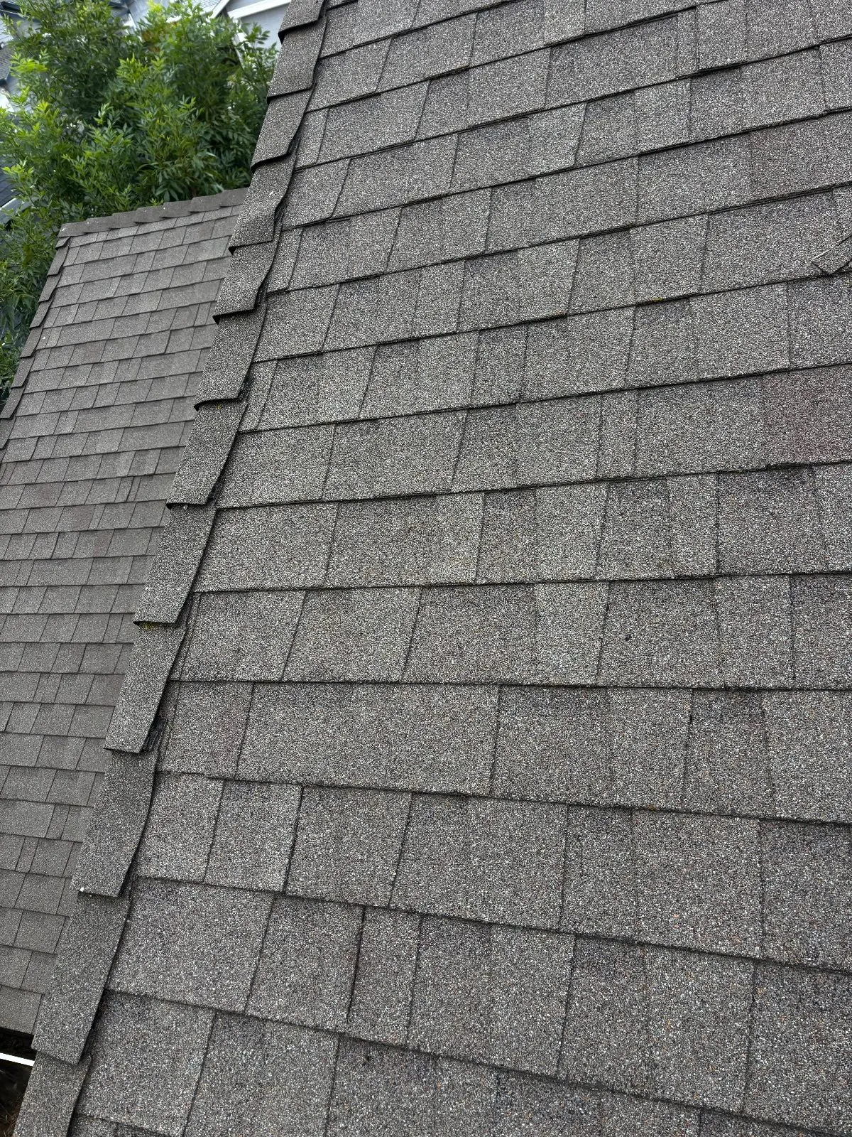 After — Roof Cleaning in Antelope, CA — September 2026