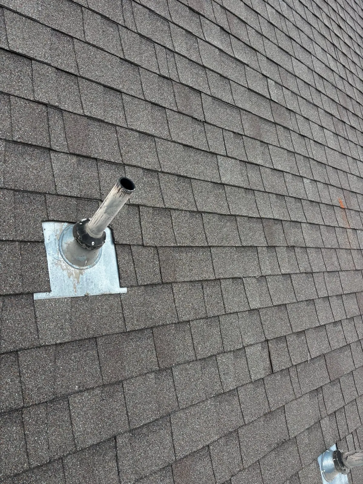 After — Roof Cleaning in Antelope, CA — September 2026